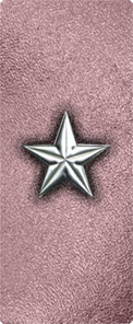 Star Silver-Orchid
